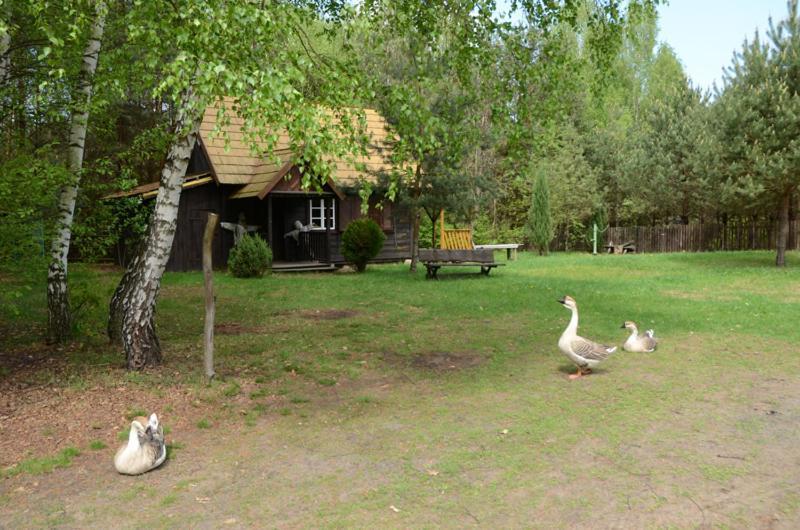 Zagrodowa Osada Villa Kazimierz Dolny Dış mekan fotoğraf
